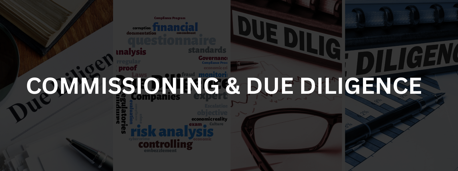 commissioning and due diligencehero image-infranox global solutions