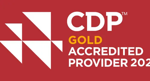 CDP Service Infranox Global Solutions